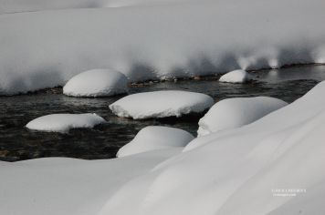 Winter Stepping Stones